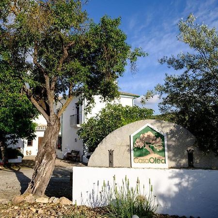 Bed and Breakfast Casa Olea à Priego de Córdoba Extérieur photo