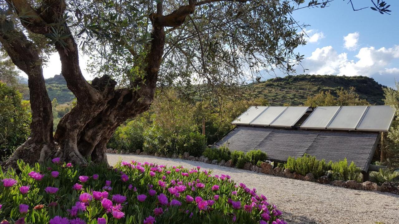 Bed and Breakfast Casa Olea à Priego de Córdoba Extérieur photo
