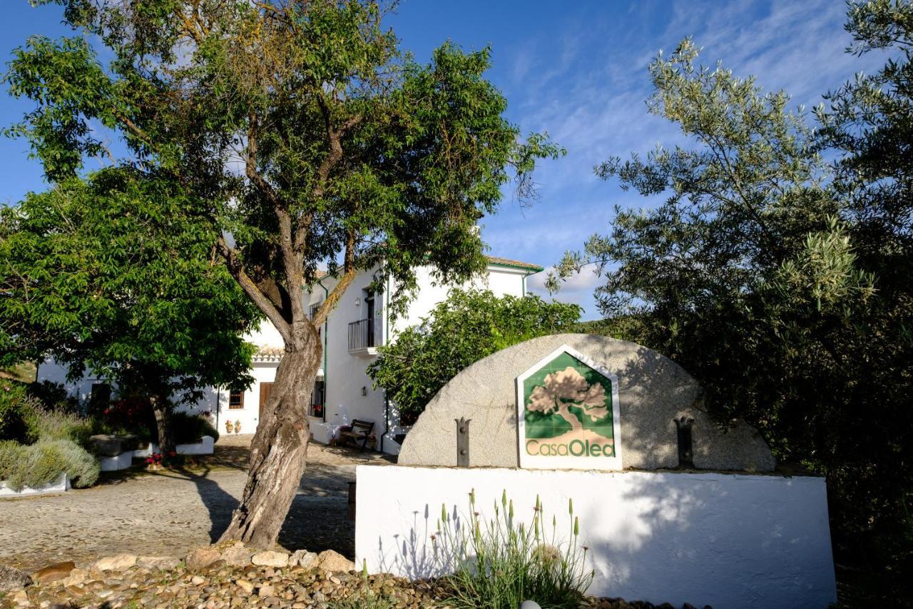 Bed and Breakfast Casa Olea à Priego de Córdoba Extérieur photo