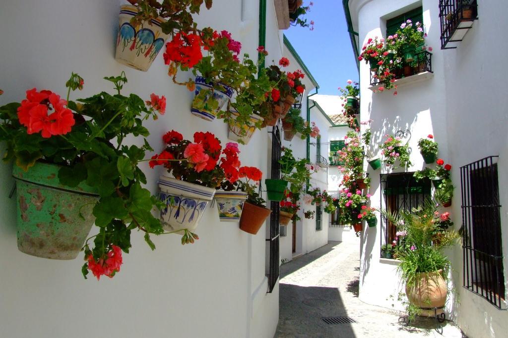 Bed and Breakfast Casa Olea à Priego de Córdoba Extérieur photo